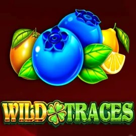 Wild Traces logo by Amusnet Interactive Hugo Casino